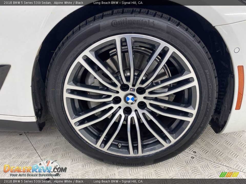 2018 BMW 5 Series 530i Sedan Alpine White / Black Photo #6