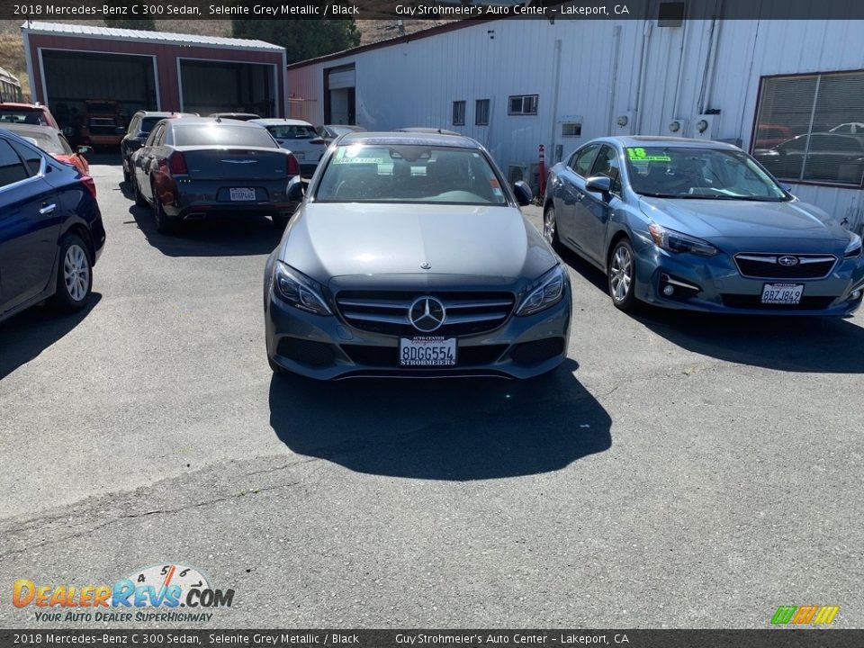 2018 Mercedes-Benz C 300 Sedan Selenite Grey Metallic / Black Photo #5