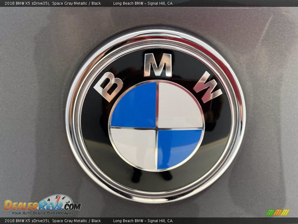 2018 BMW X5 sDrive35i Space Gray Metallic / Black Photo #10