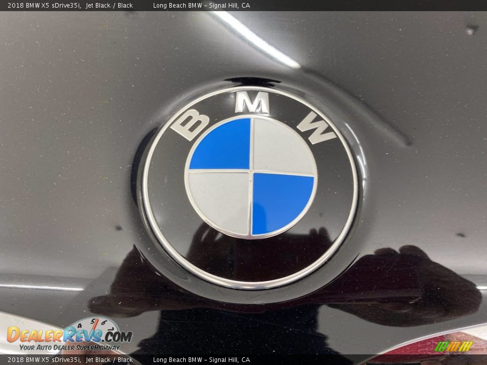 2018 BMW X5 sDrive35i Jet Black / Black Photo #8