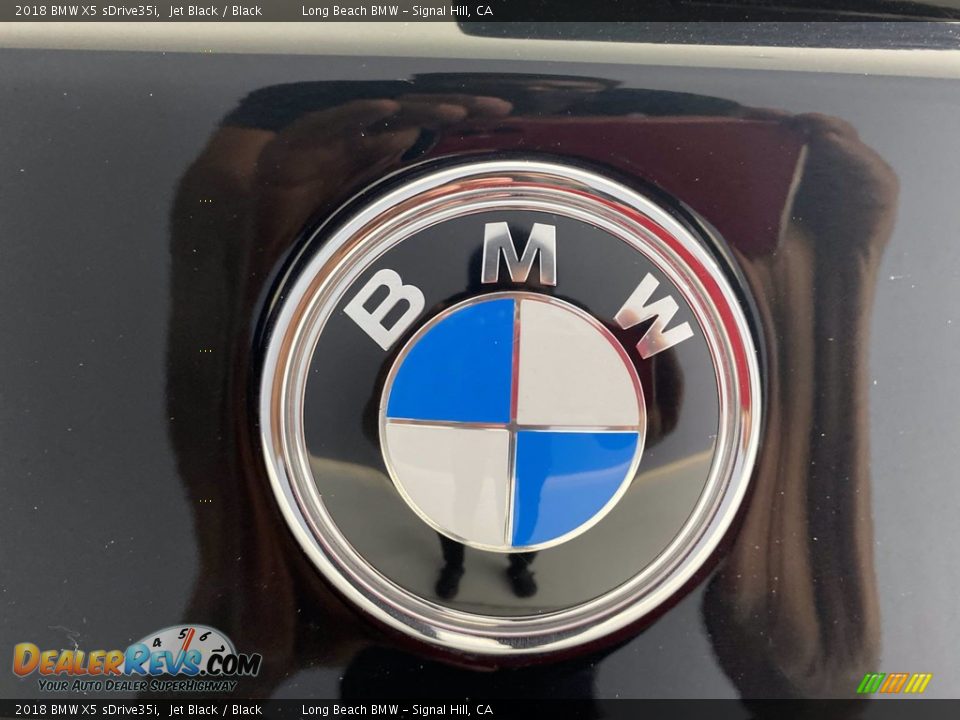 2018 BMW X5 sDrive35i Jet Black / Black Photo #10