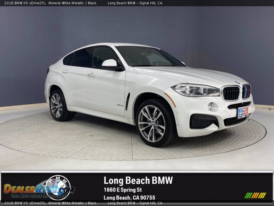 2018 BMW X6 xDrive35i Mineral White Metallic / Black Photo #1