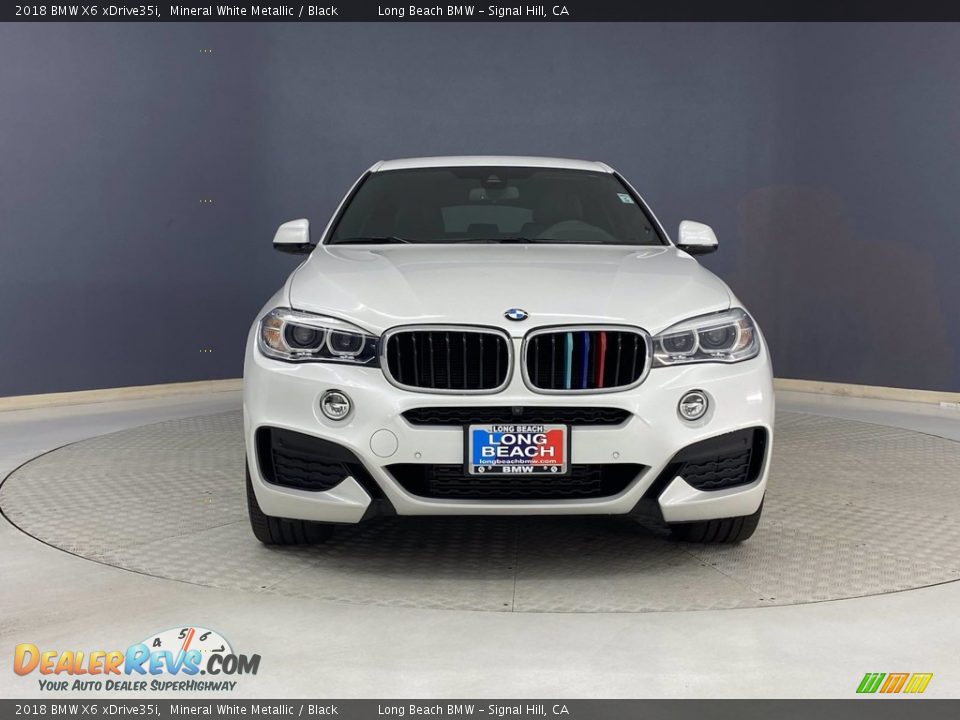 2018 BMW X6 xDrive35i Mineral White Metallic / Black Photo #2