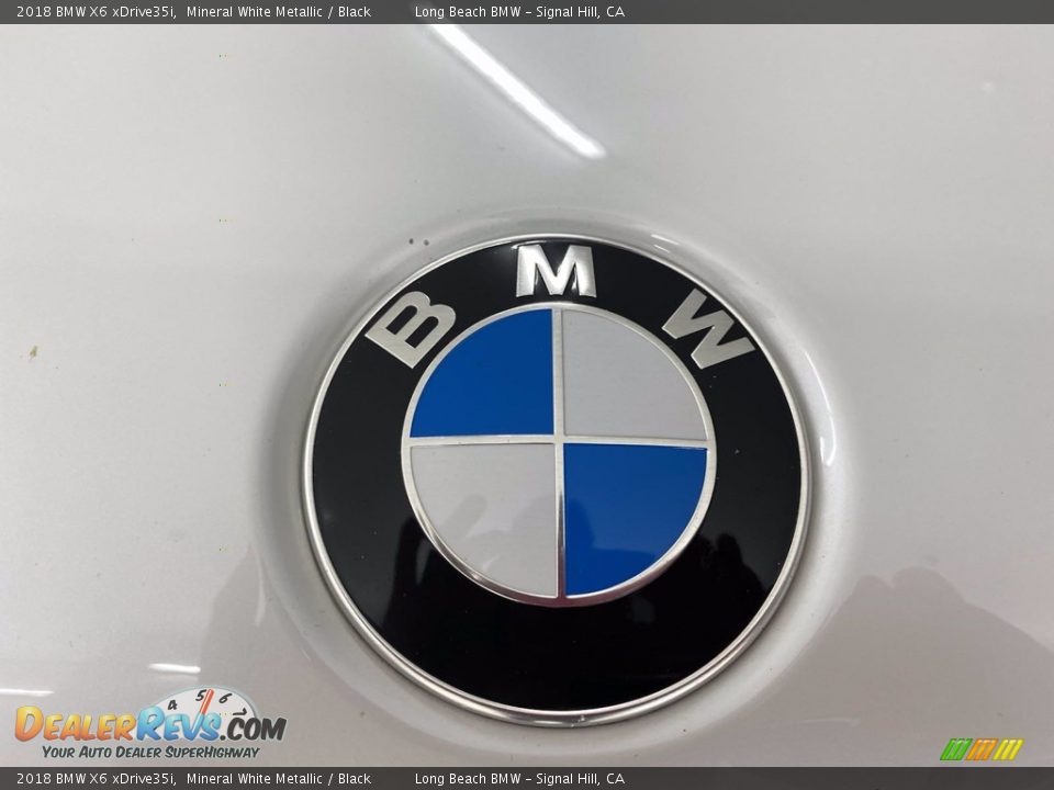 2018 BMW X6 xDrive35i Mineral White Metallic / Black Photo #8