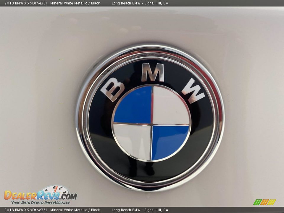 2018 BMW X6 xDrive35i Mineral White Metallic / Black Photo #10