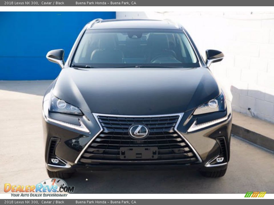 2018 Lexus NX 300 Caviar / Black Photo #7