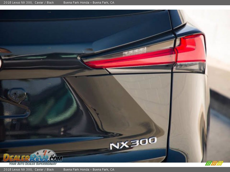 2018 Lexus NX 300 Caviar / Black Photo #11