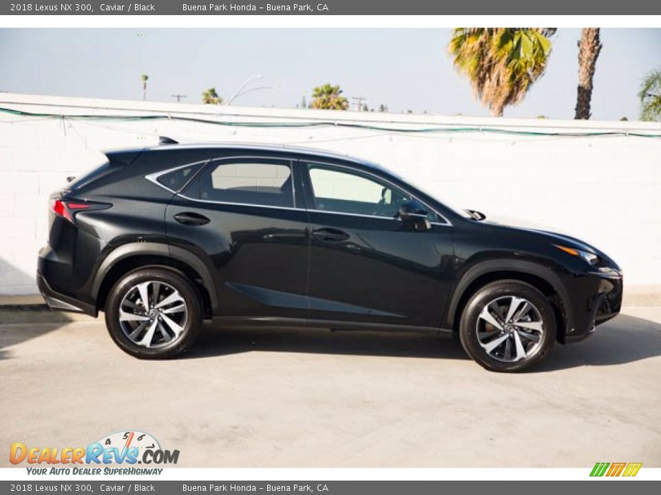 2018 Lexus NX 300 Caviar / Black Photo #12