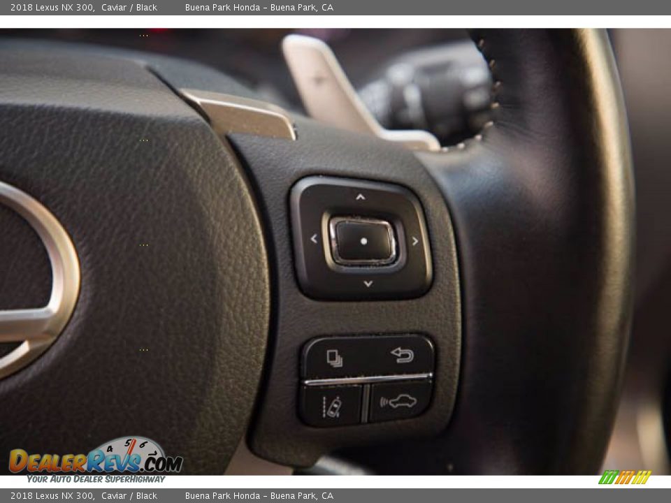 2018 Lexus NX 300 Steering Wheel Photo #15