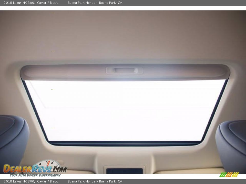 Sunroof of 2018 Lexus NX 300 Photo #18