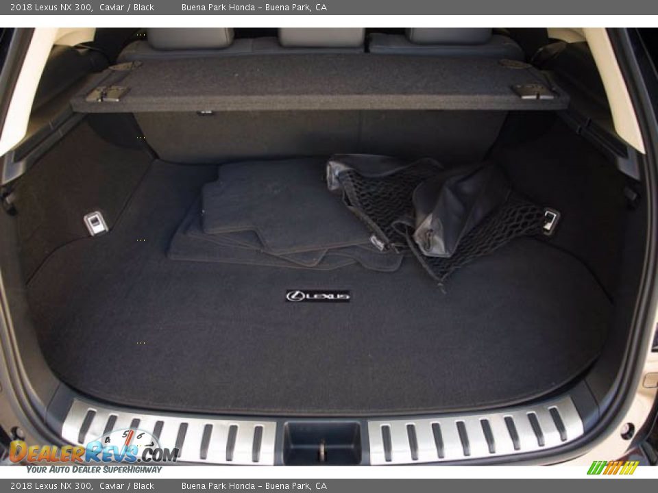 2018 Lexus NX 300 Trunk Photo #20