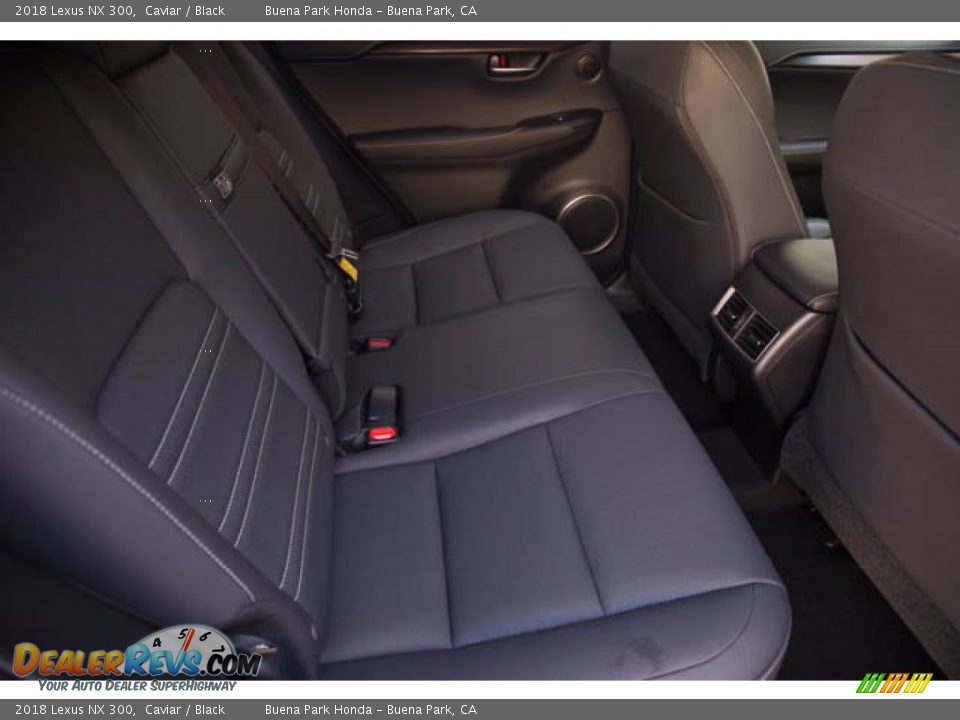 2018 Lexus NX 300 Caviar / Black Photo #21