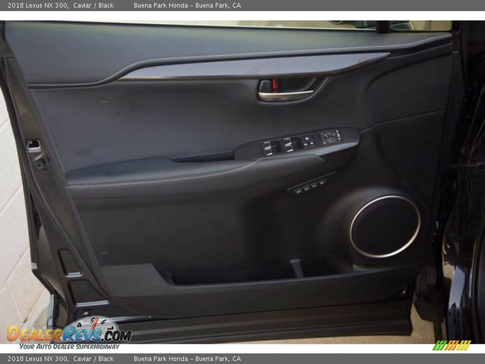 Door Panel of 2018 Lexus NX 300 Photo #29