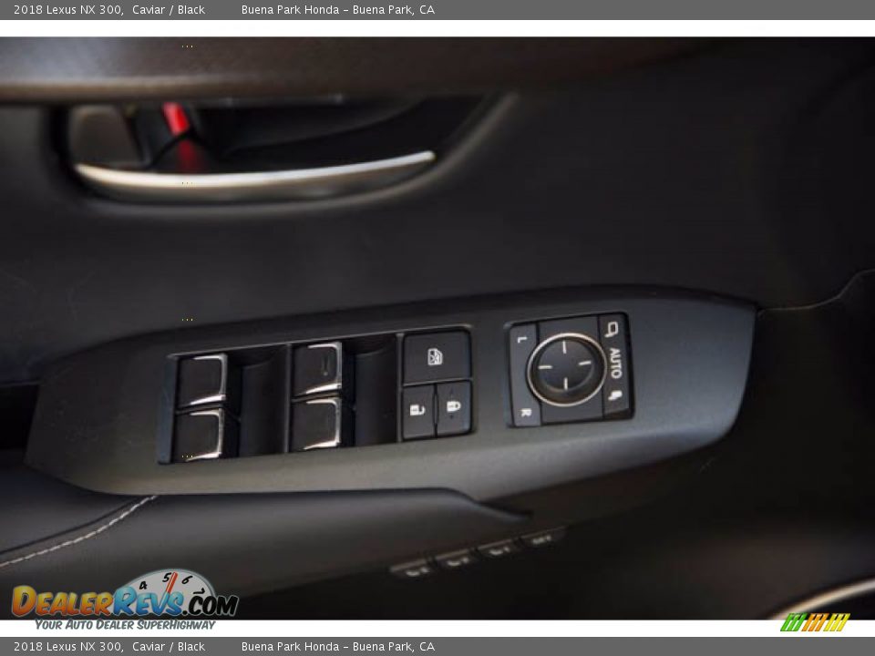 Door Panel of 2018 Lexus NX 300 Photo #30
