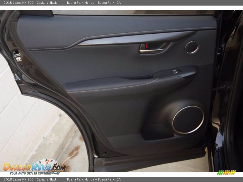 Door Panel of 2018 Lexus NX 300 Photo #31
