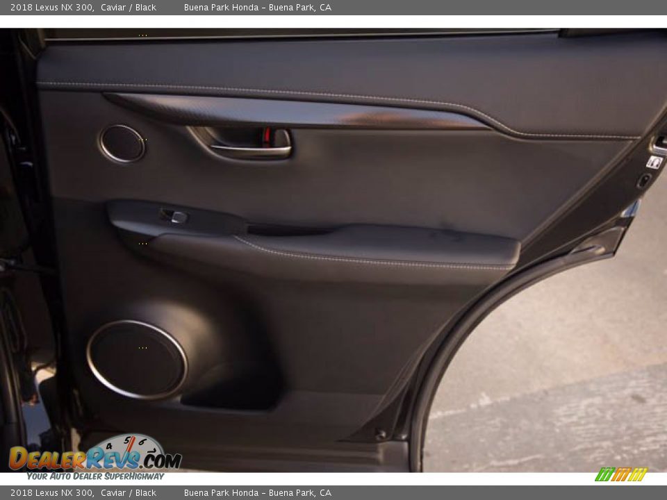 Door Panel of 2018 Lexus NX 300 Photo #32