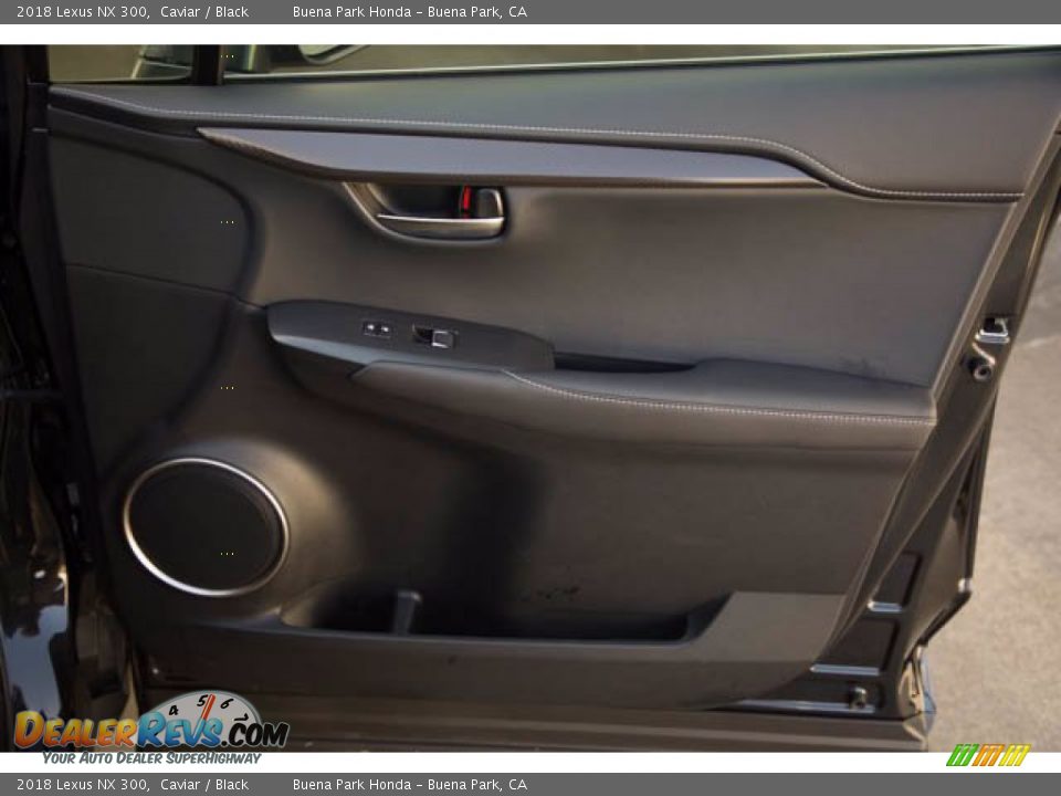 Door Panel of 2018 Lexus NX 300 Photo #33