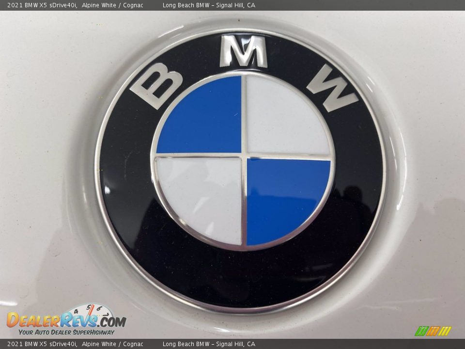 2021 BMW X5 sDrive40i Alpine White / Cognac Photo #5