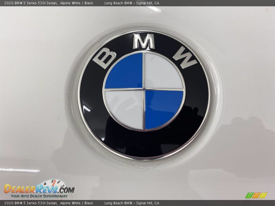 2020 BMW 5 Series 530i Sedan Alpine White / Black Photo #8