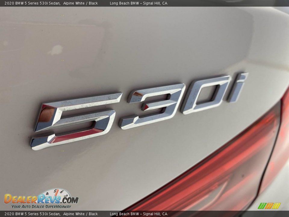 2020 BMW 5 Series 530i Sedan Alpine White / Black Photo #11
