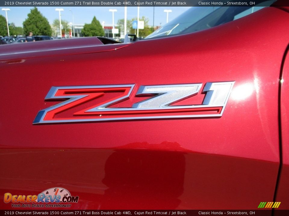 2019 Chevrolet Silverado 1500 Custom Z71 Trail Boss Double Cab 4WD Logo Photo #13