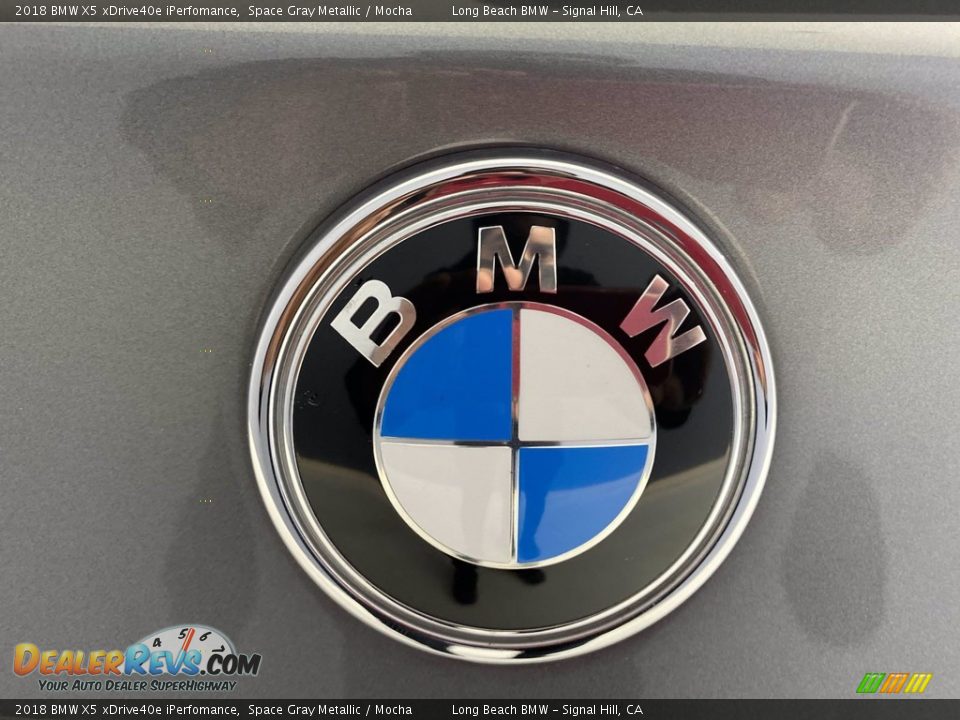 2018 BMW X5 xDrive40e iPerfomance Space Gray Metallic / Mocha Photo #10