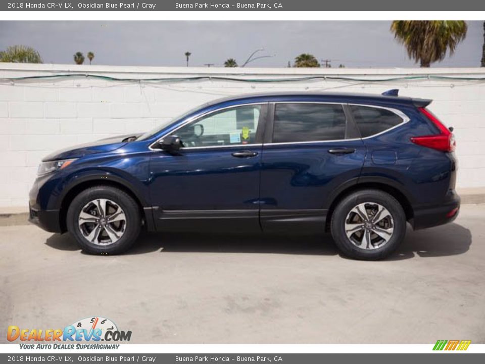 2018 Honda CR-V LX Obsidian Blue Pearl / Gray Photo #10