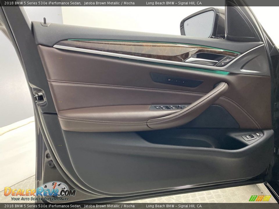 Door Panel of 2018 BMW 5 Series 530e iPerfomance Sedan Photo #13