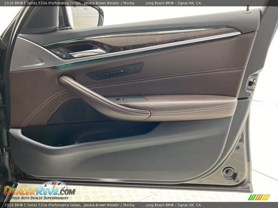 Door Panel of 2018 BMW 5 Series 530e iPerfomance Sedan Photo #32