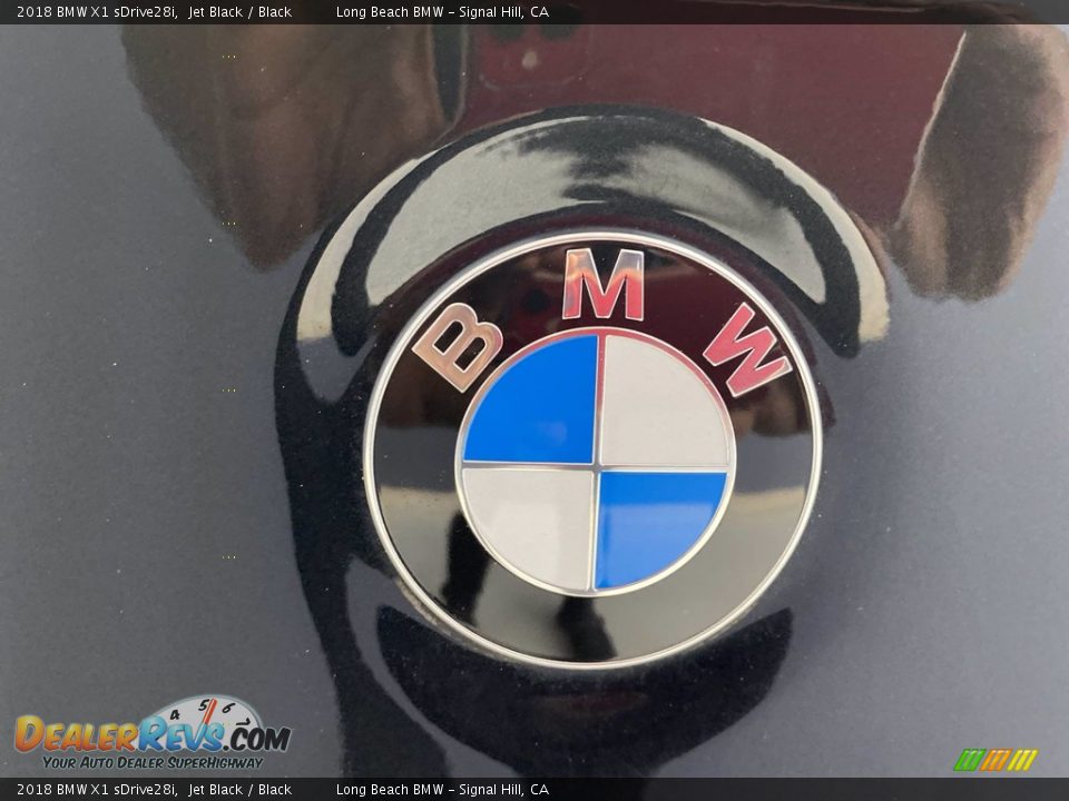 2018 BMW X1 sDrive28i Jet Black / Black Photo #10
