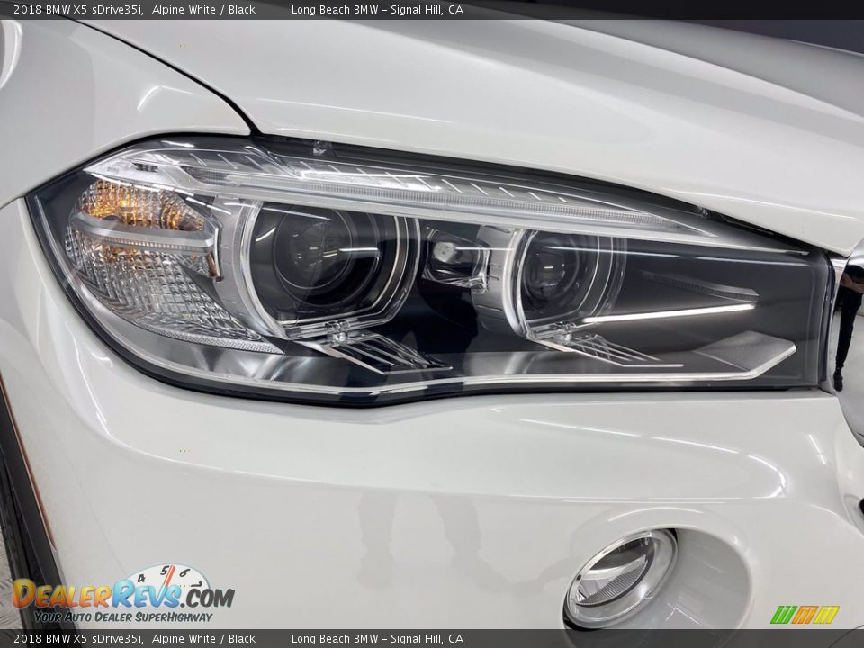 2018 BMW X5 sDrive35i Alpine White / Black Photo #7