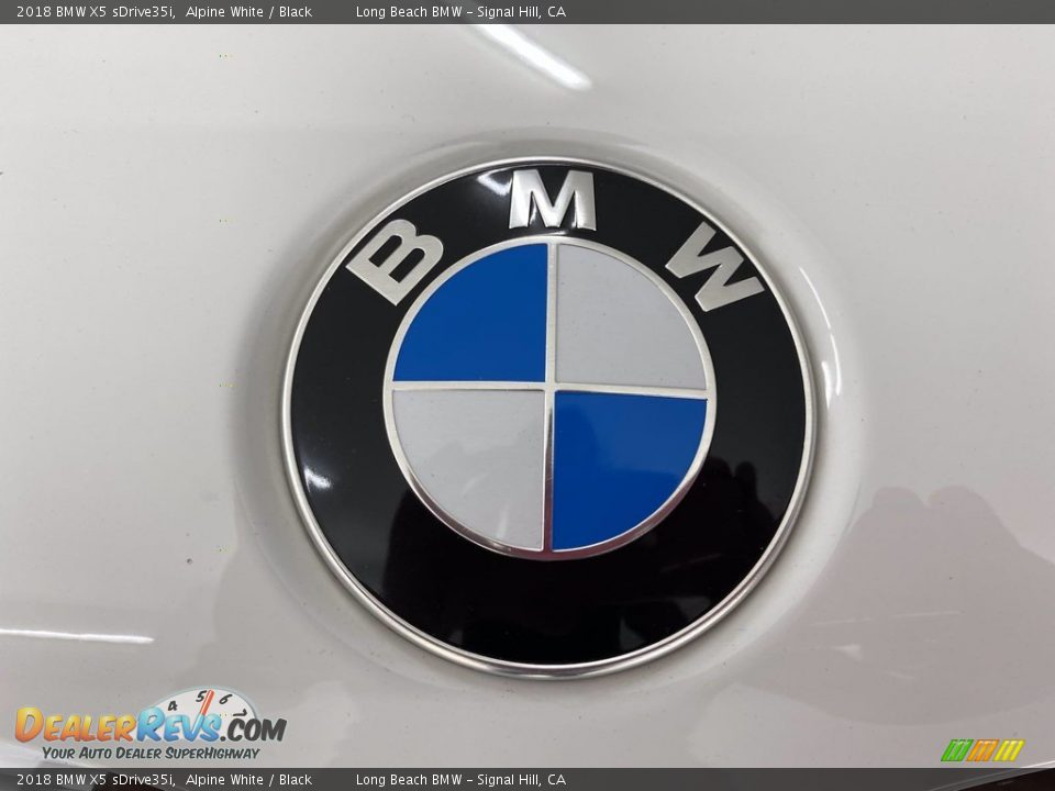 2018 BMW X5 sDrive35i Alpine White / Black Photo #8