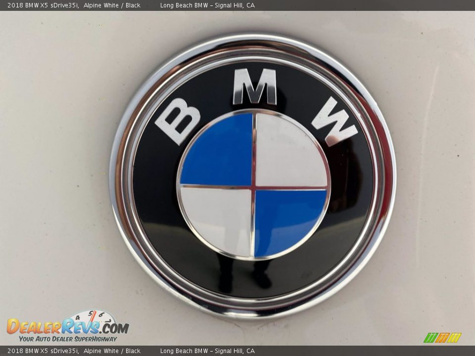 2018 BMW X5 sDrive35i Alpine White / Black Photo #10
