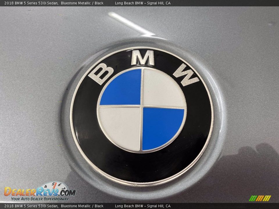 2018 BMW 5 Series 530i Sedan Bluestone Metallic / Black Photo #8