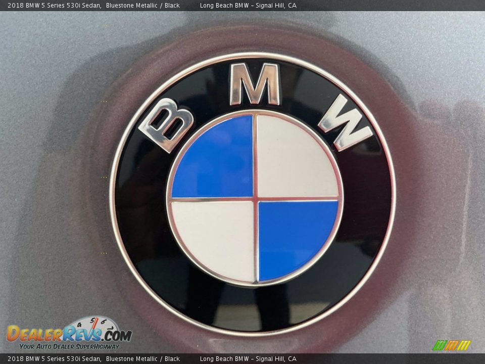 2018 BMW 5 Series 530i Sedan Bluestone Metallic / Black Photo #10