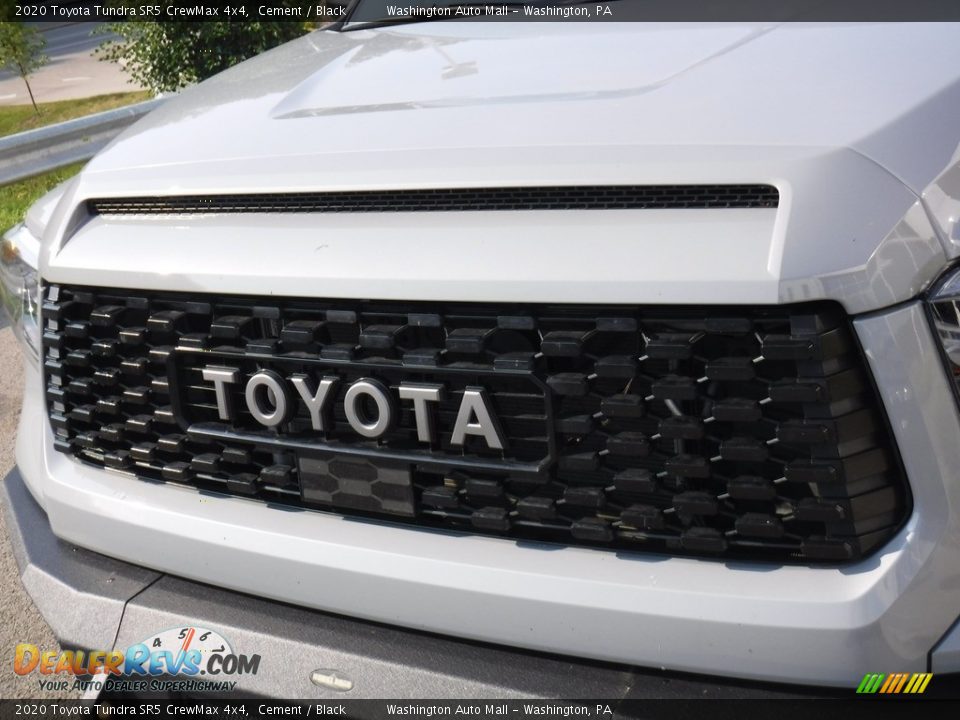 2020 Toyota Tundra SR5 CrewMax 4x4 Cement / Black Photo #13