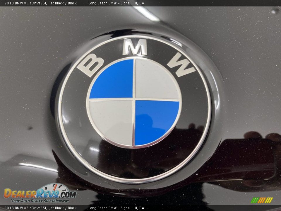 2018 BMW X5 sDrive35i Jet Black / Black Photo #8