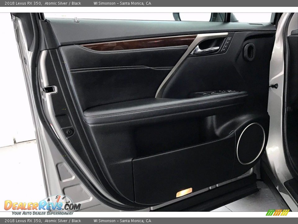 Door Panel of 2018 Lexus RX 350 Photo #25