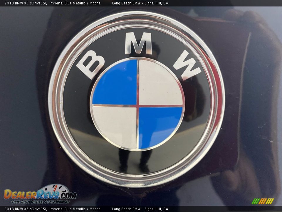 2018 BMW X5 sDrive35i Imperial Blue Metallic / Mocha Photo #10