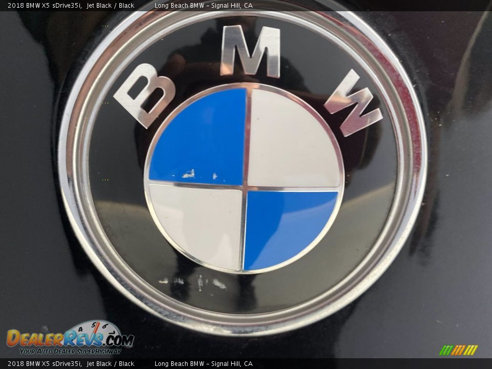 2018 BMW X5 sDrive35i Jet Black / Black Photo #10