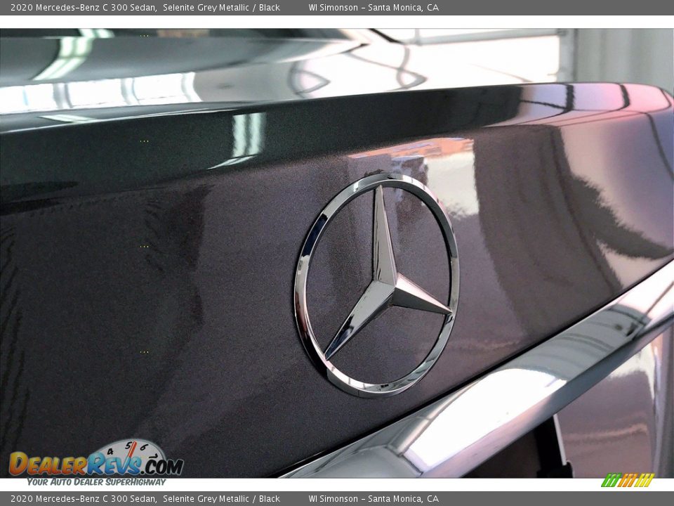 2020 Mercedes-Benz C 300 Sedan Selenite Grey Metallic / Black Photo #7