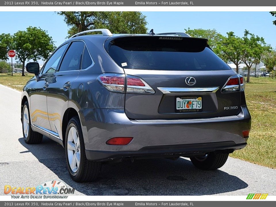 2013 Lexus RX 350 Nebula Gray Pearl / Black/Ebony Birds Eye Maple Photo #6