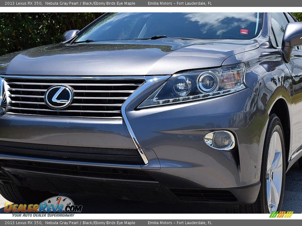 2013 Lexus RX 350 Nebula Gray Pearl / Black/Ebony Birds Eye Maple Photo #15