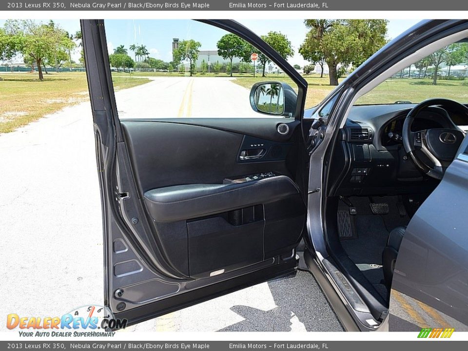 Door Panel of 2013 Lexus RX 350 Photo #21