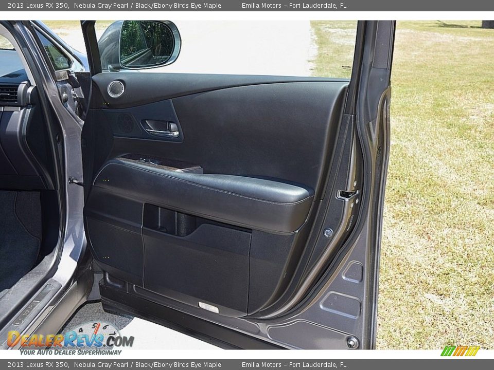 Door Panel of 2013 Lexus RX 350 Photo #24