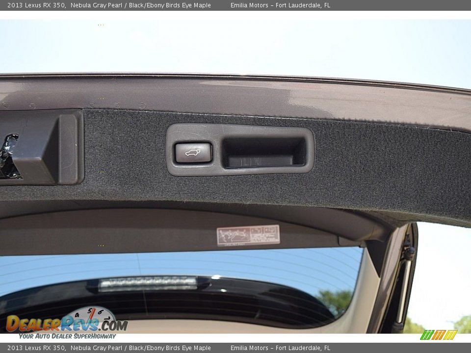 2013 Lexus RX 350 Trunk Photo #33