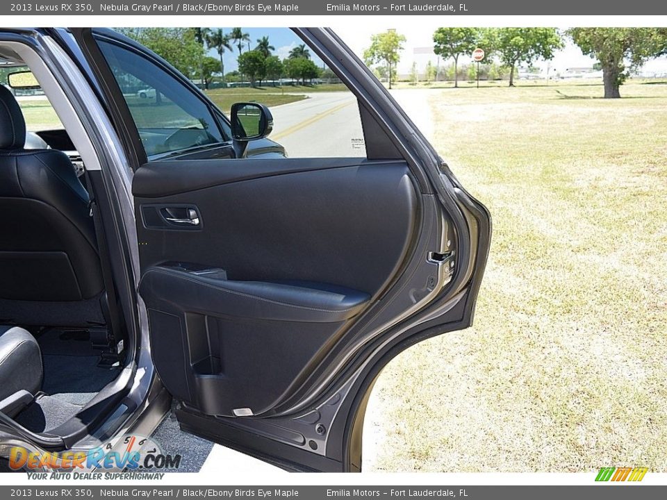 Door Panel of 2013 Lexus RX 350 Photo #36