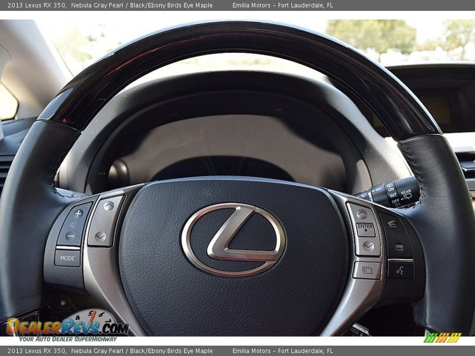 2013 Lexus RX 350 Steering Wheel Photo #43
