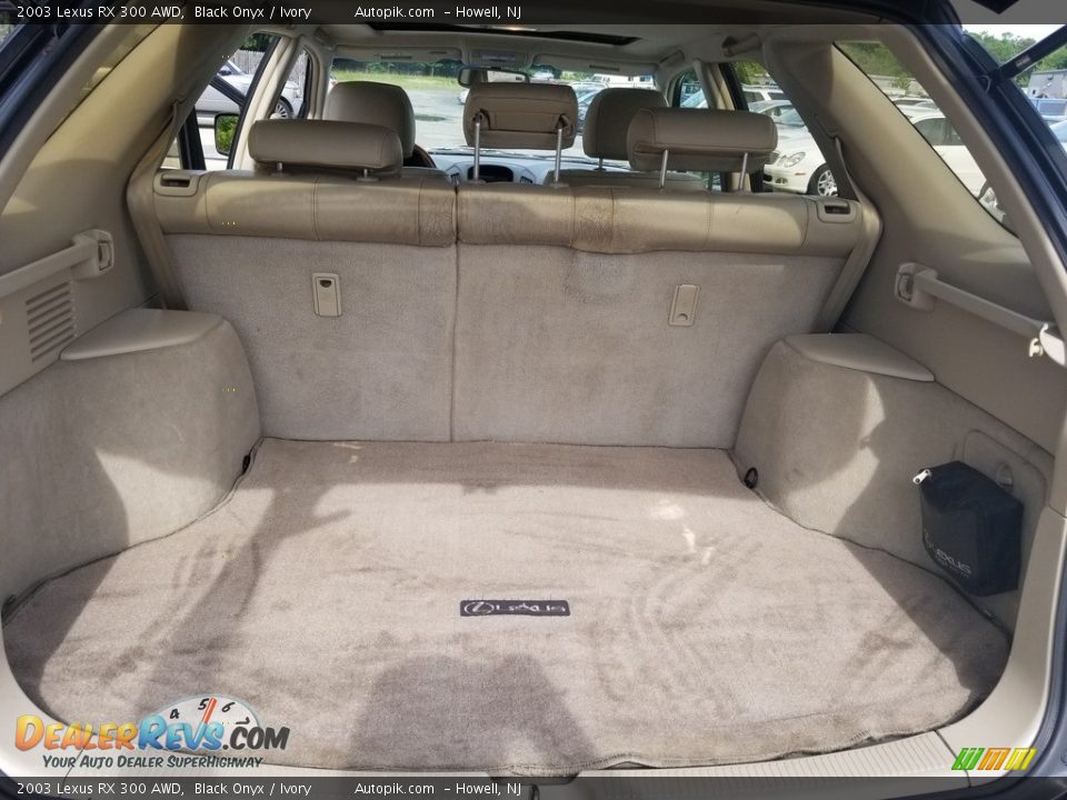 2003 Lexus RX 300 AWD Black Onyx / Ivory Photo #20