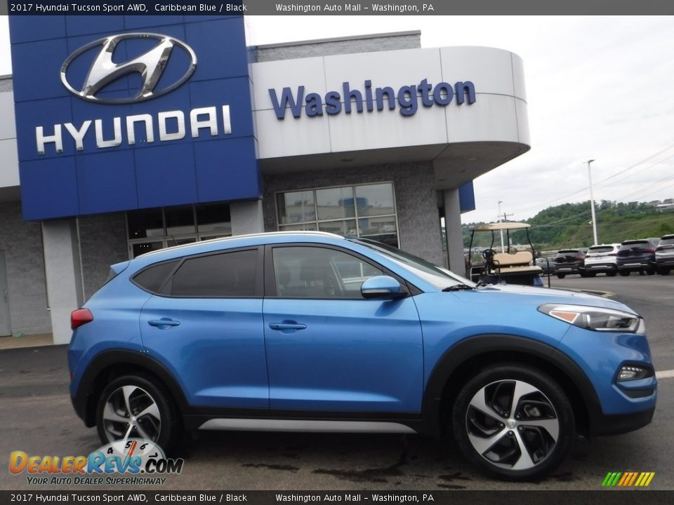 2017 Hyundai Tucson Sport AWD Caribbean Blue / Black Photo #2